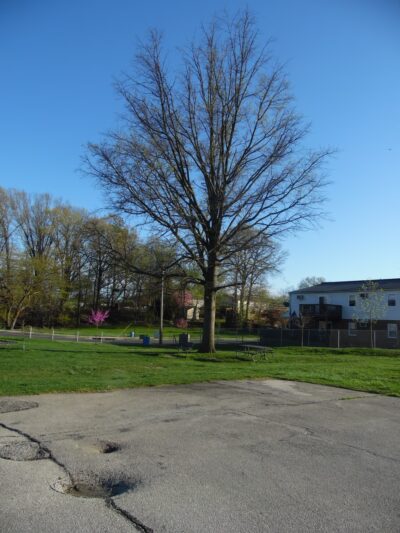 Westmont Park - Collingdale, PA