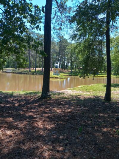 Robertson Park - Collins, MS