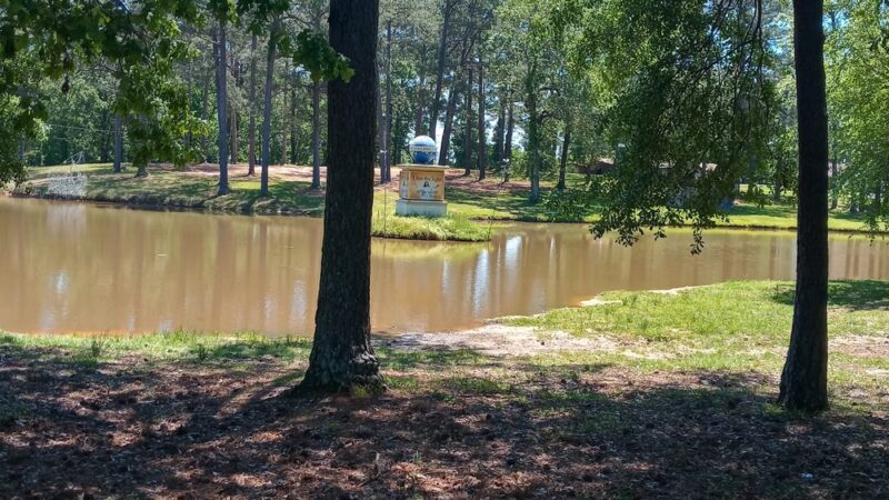 Robertson Park - Collins, MS