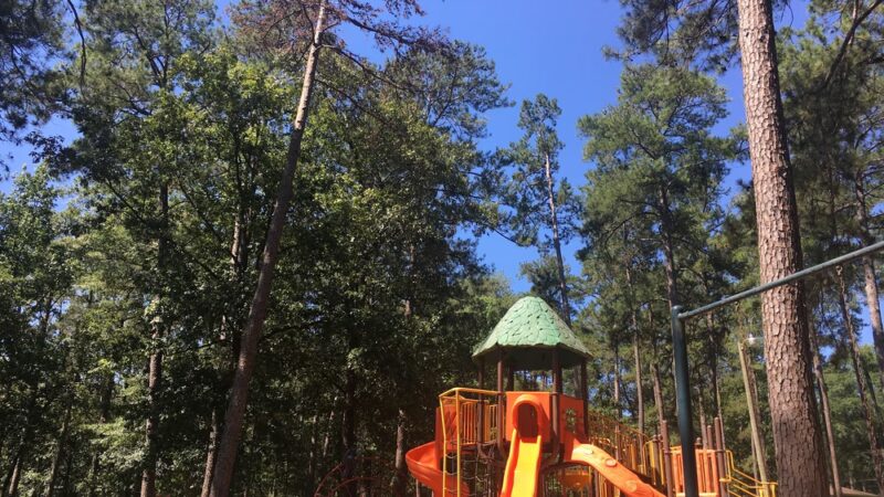Robertson Park - Collins, MS