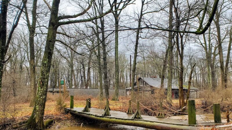 Walnut Street Cabin Park - Colmar, PA