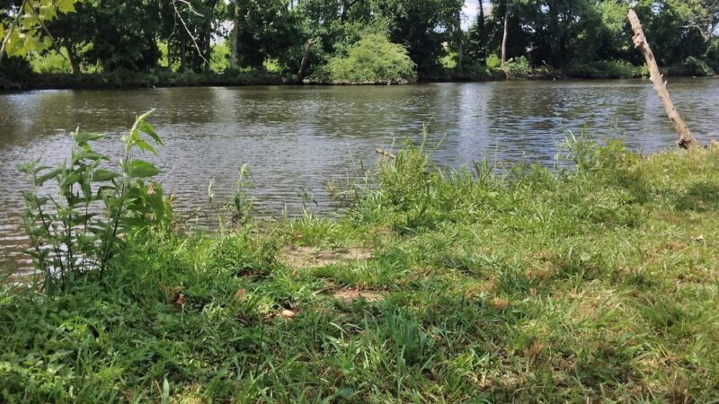 Access to Appomattox River Greenway - Colonial Heights, VA