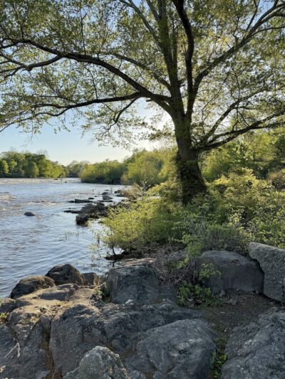 Access to Appomattox River Greenway - Colonial Heights, VA