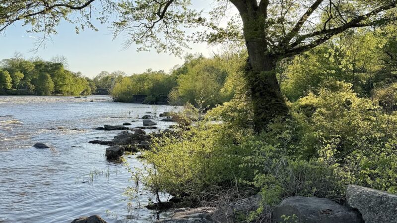 Access to Appomattox River Greenway - Colonial Heights, VA
