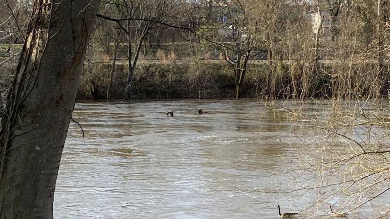 Appamatuck Park - Appomattox River Greenway - Colonial Heights, VA