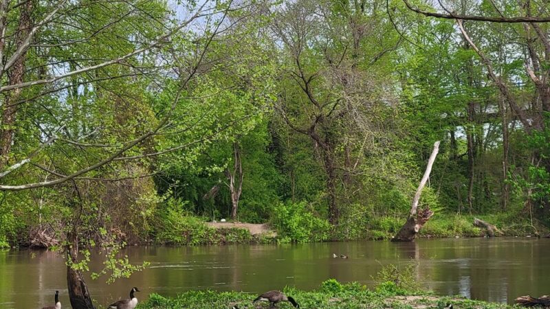 Appomattox River Greenway - Colonial Heights, VA