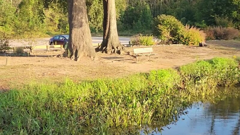 Appomattox River Greenway - Roslyn Landing Access - Colonial Heights, VA
