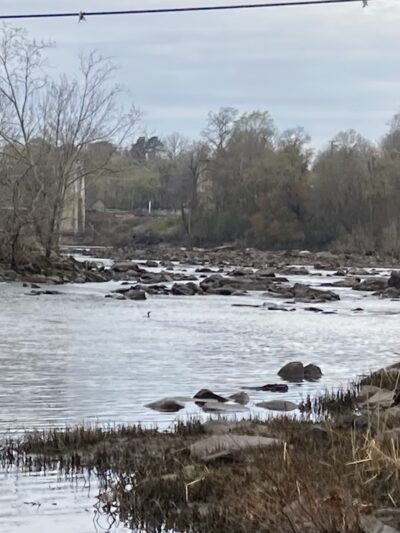 Appomattox River Greenway - Roslyn Landing Access - Colonial Heights, VA