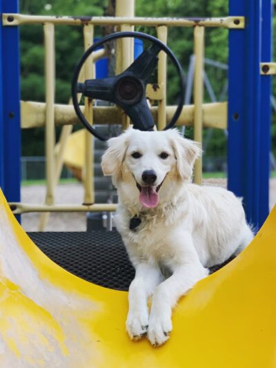 Edinborough Park - Colonial Heights, VA