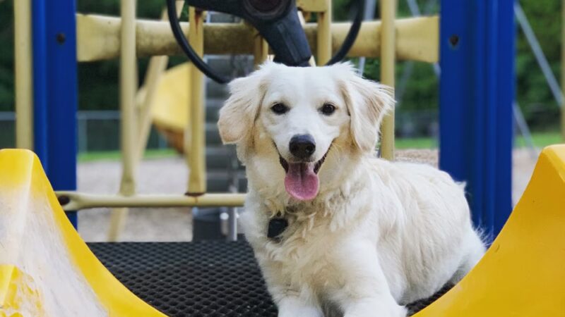 Edinborough Park - Colonial Heights, VA