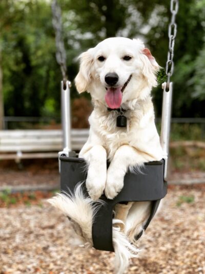 Edinborough Park - Colonial Heights, VA