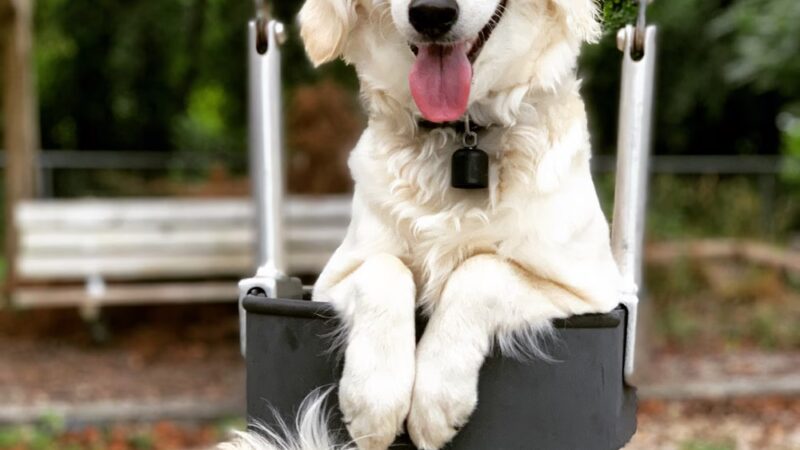 Edinborough Park - Colonial Heights, VA