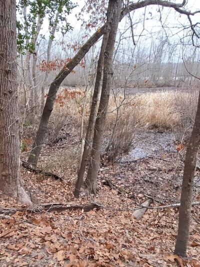 Fort Clifton Park - Colonial Heights, VA