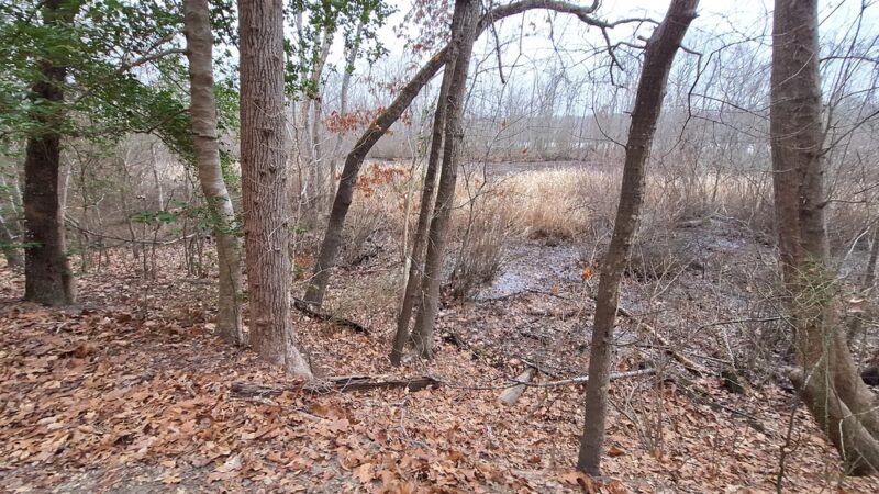 Fort Clifton Park - Colonial Heights, VA
