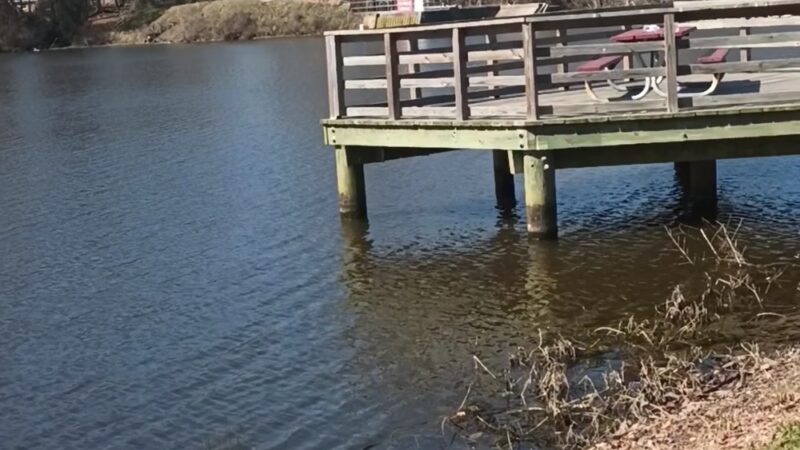 Lakeview Park - Colonial Heights, VA