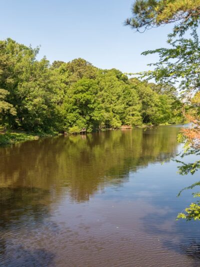 Lakeview Park - Colonial Heights, VA