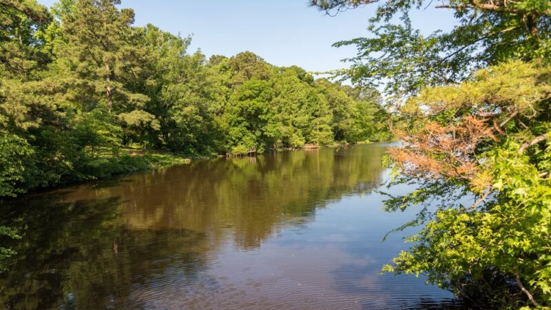 Lakeview Park - Colonial Heights, VA