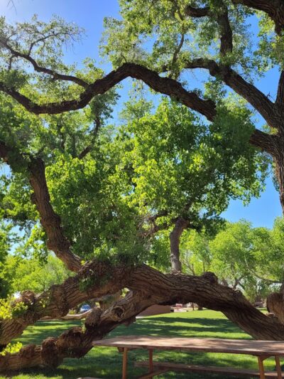 Cottonwood Park - Colorado City, AZ