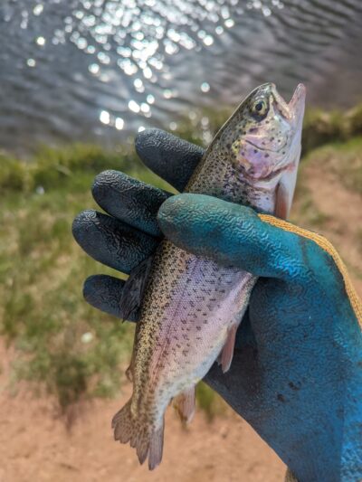 Air Force Academy Recreation Area - Colorado Springs, CO