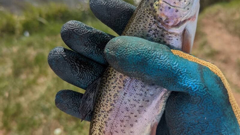 Air Force Academy Recreation Area - Colorado Springs, CO