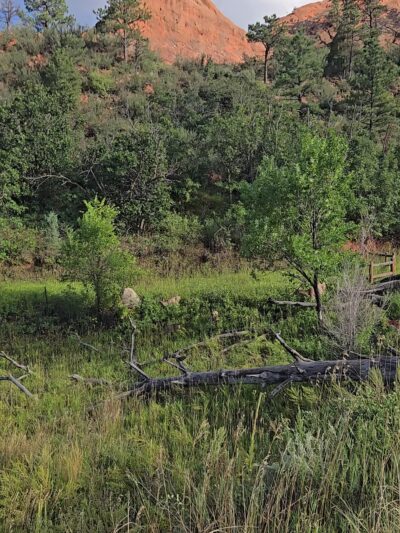 Red Rock Canyon Open Space Pavilion - Colorado Springs, CO