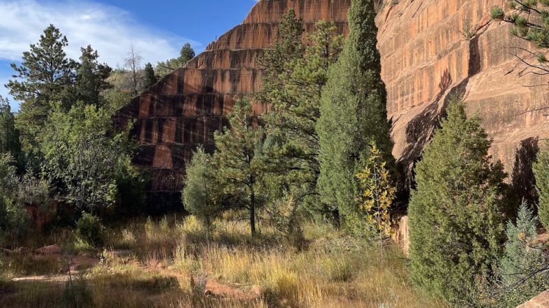Red Rock Canyon Open Space Pavilion - Colorado Springs, CO