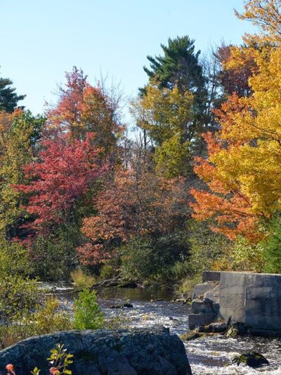 Columbia Falls - Columbia Falls, ME
