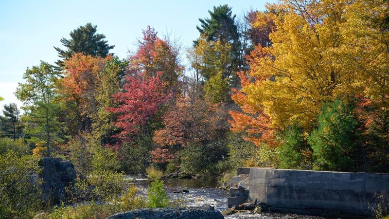 Columbia Falls - Columbia Falls, ME