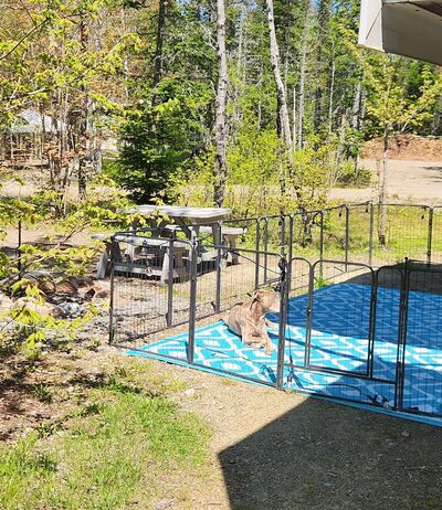Cottonwood Camping & RV Park - Columbia Falls, ME
