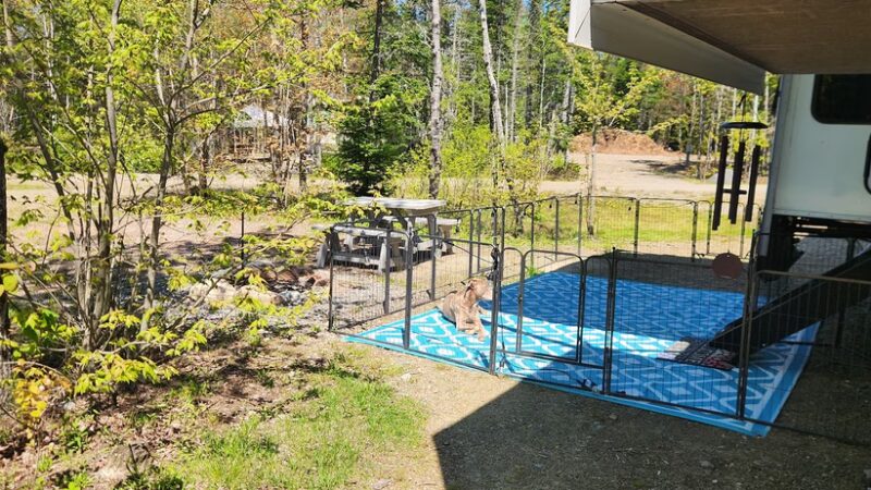 Cottonwood Camping & RV Park - Columbia Falls, ME