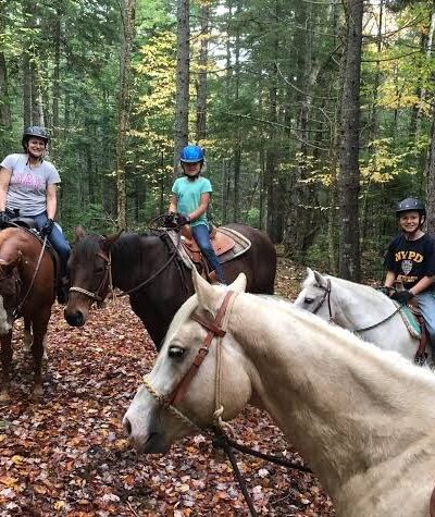 Cottonwood Camping & RV Park - Columbia Falls, ME