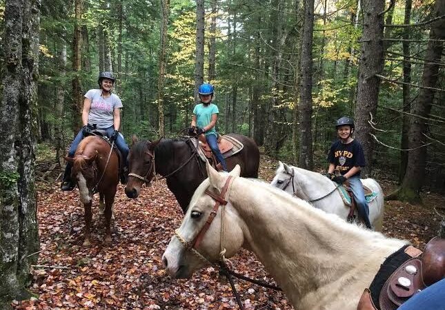 Cottonwood Camping & RV Park - Columbia Falls, ME