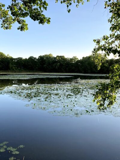 Kordiak Park - Columbia Heights, MN