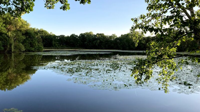 Kordiak Park - Columbia Heights, MN