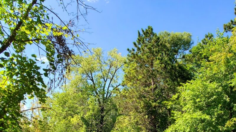 Kordiak Park - Columbia Heights, MN