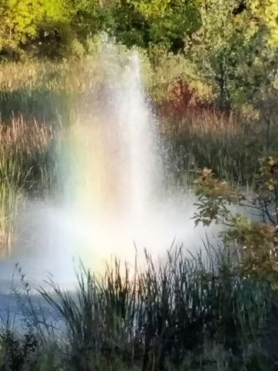 LaBelle Park - Columbia Heights, MN