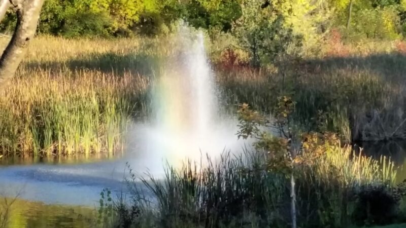 LaBelle Park - Columbia Heights, MN