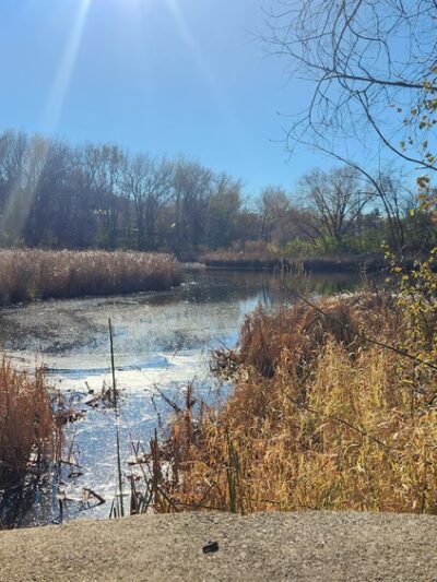 LaBelle Park - Columbia Heights, MN