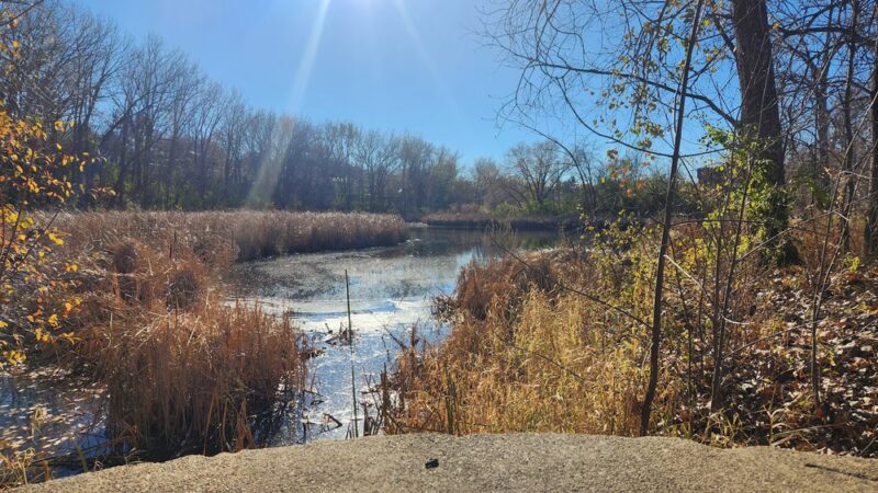 LaBelle Park - Columbia Heights, MN