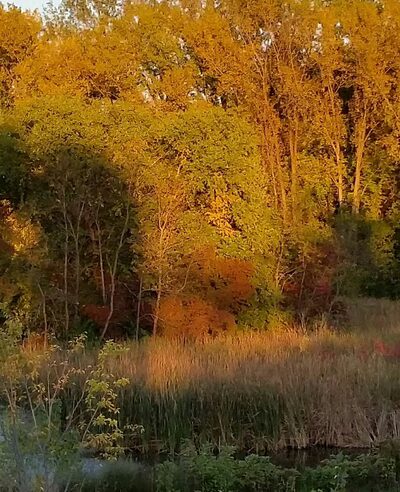 LaBelle Park - Columbia Heights, MN