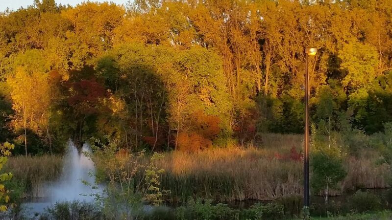 LaBelle Park - Columbia Heights, MN