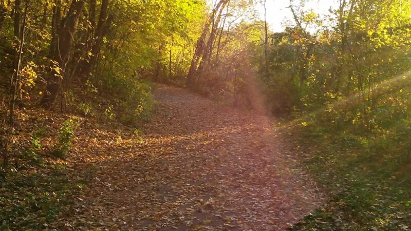 LaBelle Park - Columbia Heights, MN