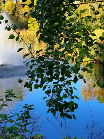 LaBelle Park - Columbia Heights, MN