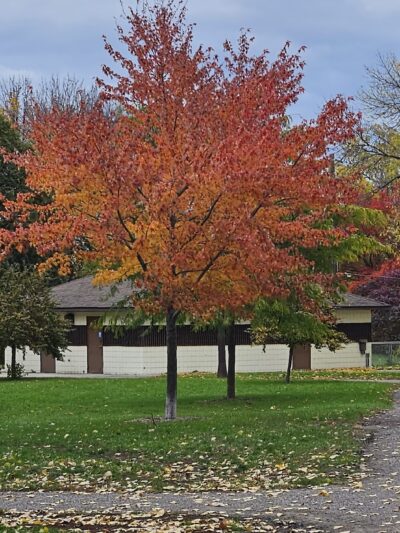 Sullivan Lake Park - Columbia Heights, MN