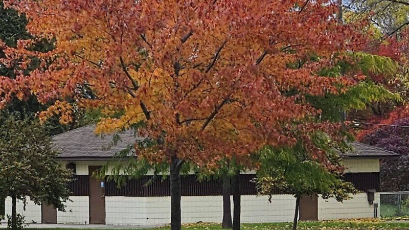 Sullivan Lake Park - Columbia Heights, MN