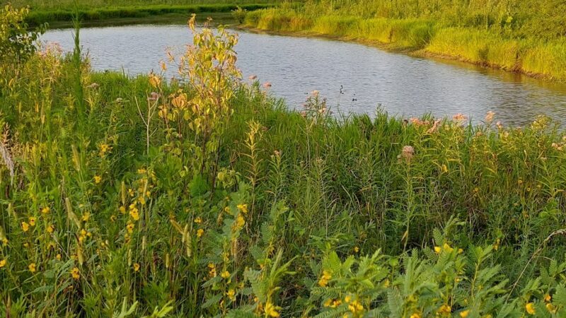 Admiral Trost Park - Columbia, IL
