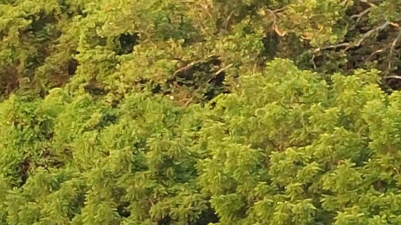 Admiral Trost Park - Columbia, IL