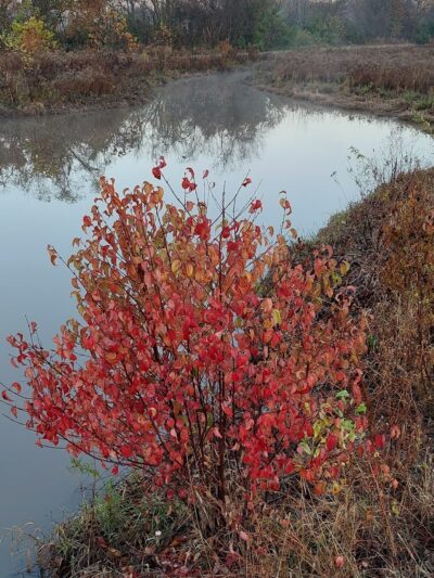 Admiral Trost Park - Columbia, IL