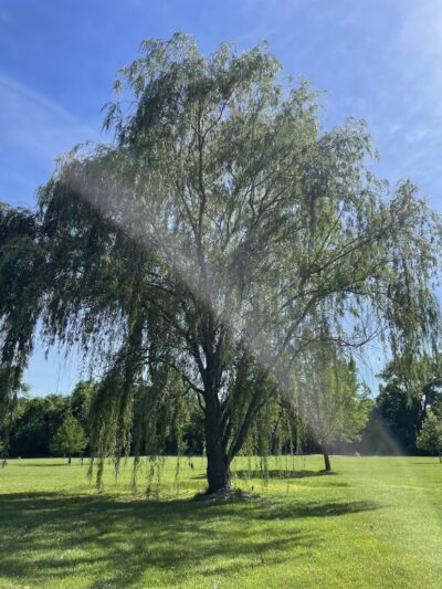 Meadow Ridge Park - Columbia, IL