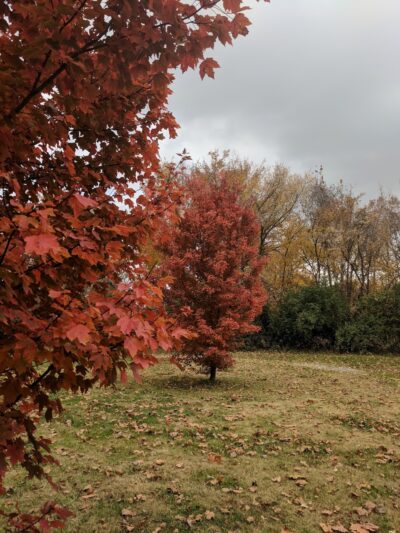Meadow Ridge Park - Columbia, IL